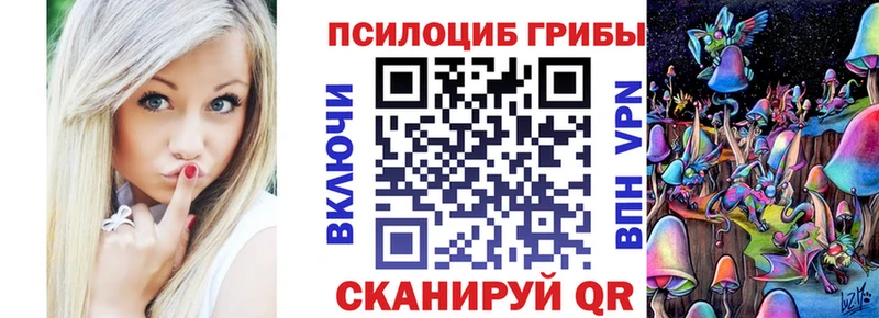 наркота  Никольское  Галлюциногенные грибы Psilocybe 